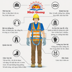 Cách Chọn Mũ Bảo Hộ Lao Động Cho Công Nhân Tại Công Trình Xây Dựng